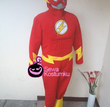 Sewa Kostum Super Hero The Flash