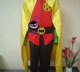Sewa Kostum Superhero Robin