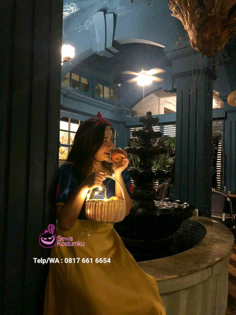 Sewa Kostum Disney Snow White di Kramat Jati Jakarta