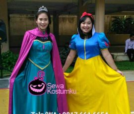 Sewa Kostum Karakter Disney di Cililitan Jakarta Timur