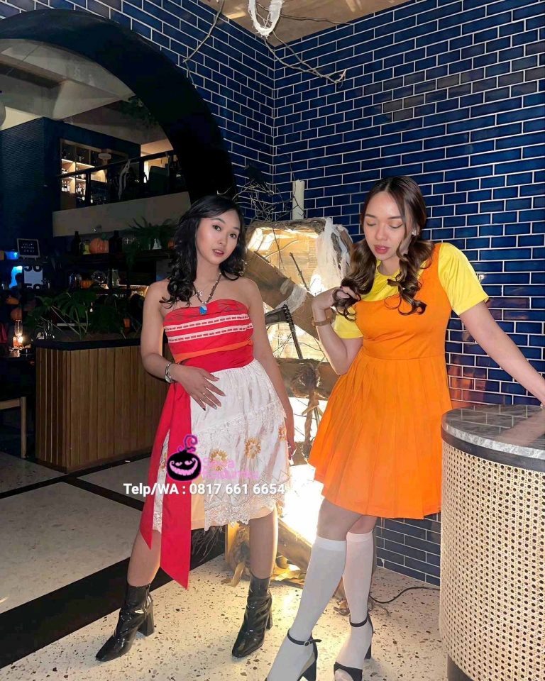 Sewa Baju Disney Moana di Tebet Jakarta