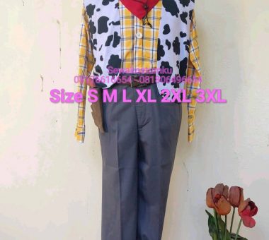 Sewa Kostum Woody Toy Story size S M L XL XXL XXXL